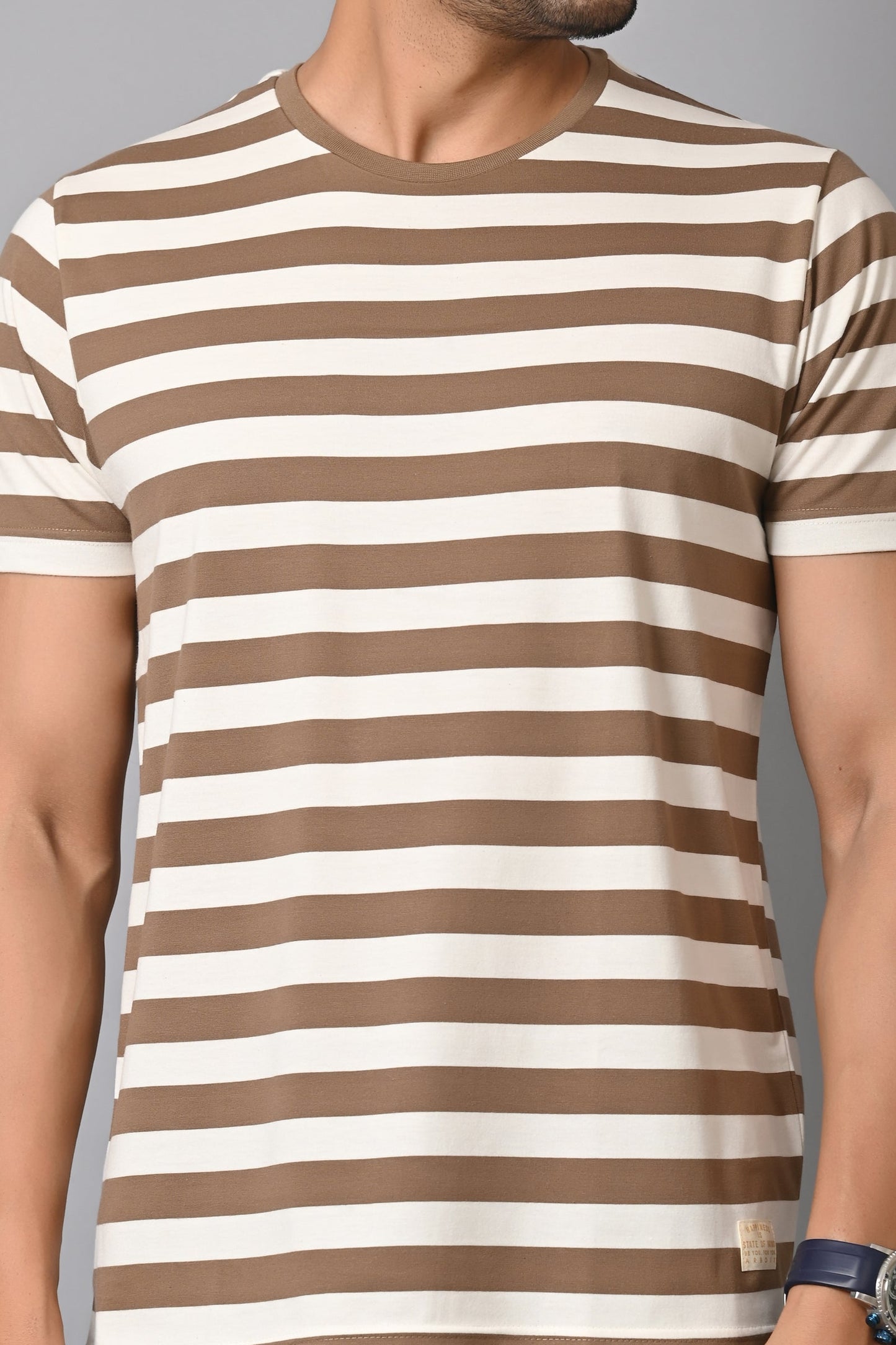 Arbour Men Round Neck Stripes Half Sleeves T-Shirt