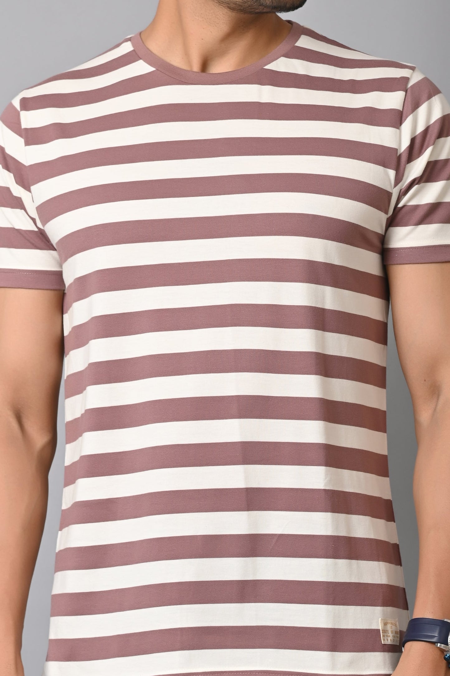 Arbour Men Round Neck Stripes Half Sleeves T-Shirt