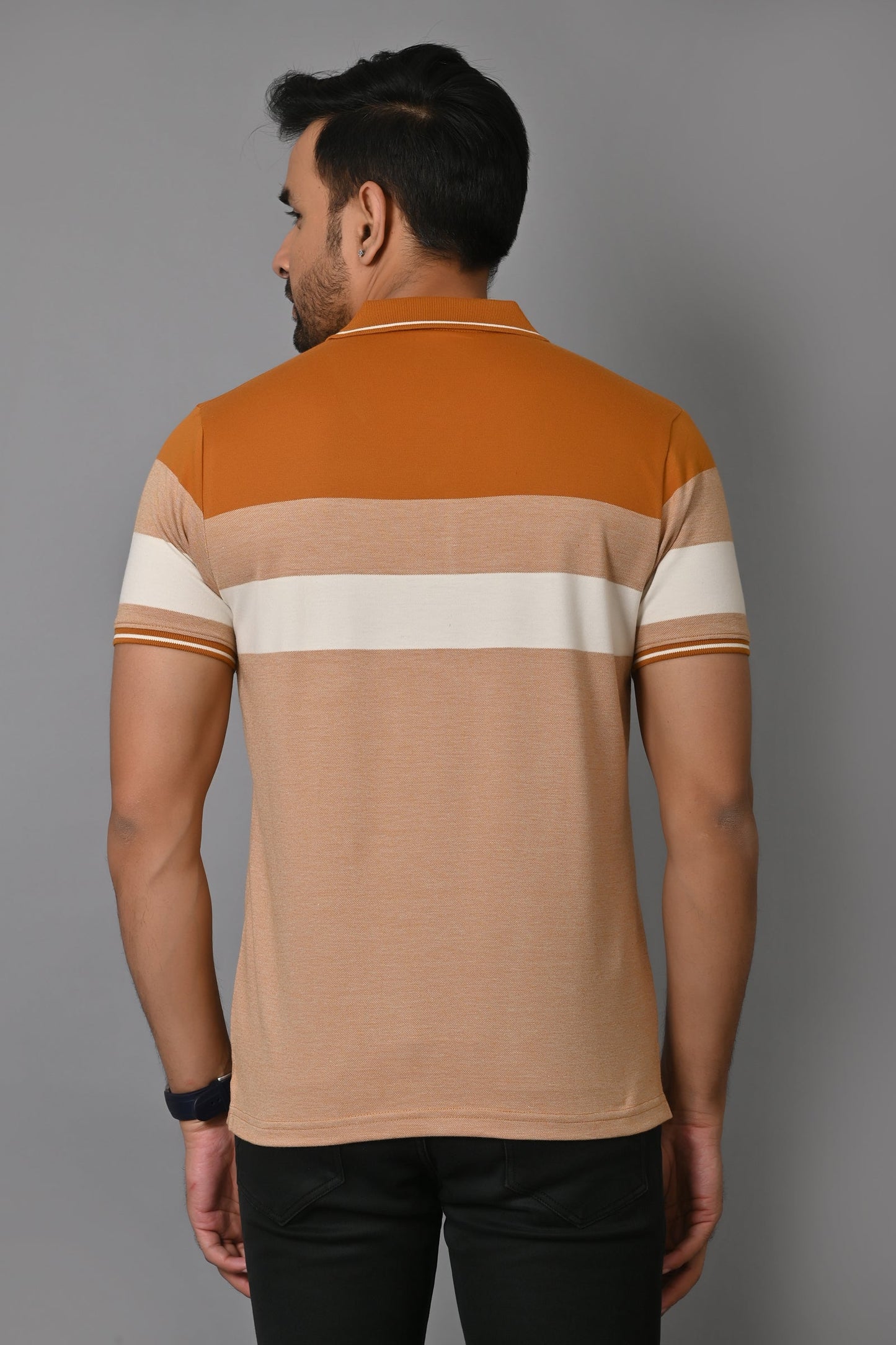 Arbour Men Polo Neck Stripes Casual Half Sleeves T-Shirt