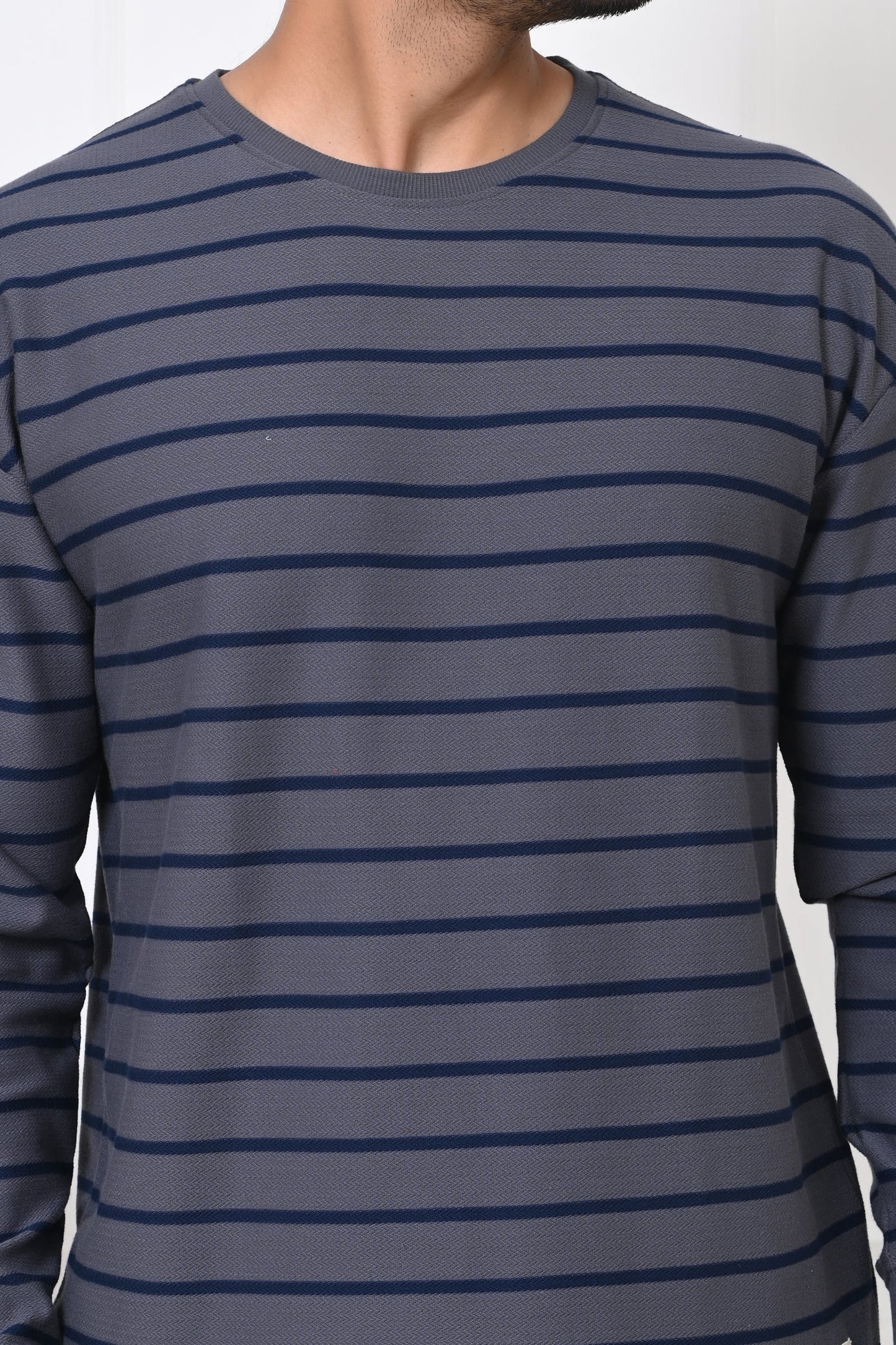 Arbour Men Round Neck Stripes Full Sleeves T-Shirt