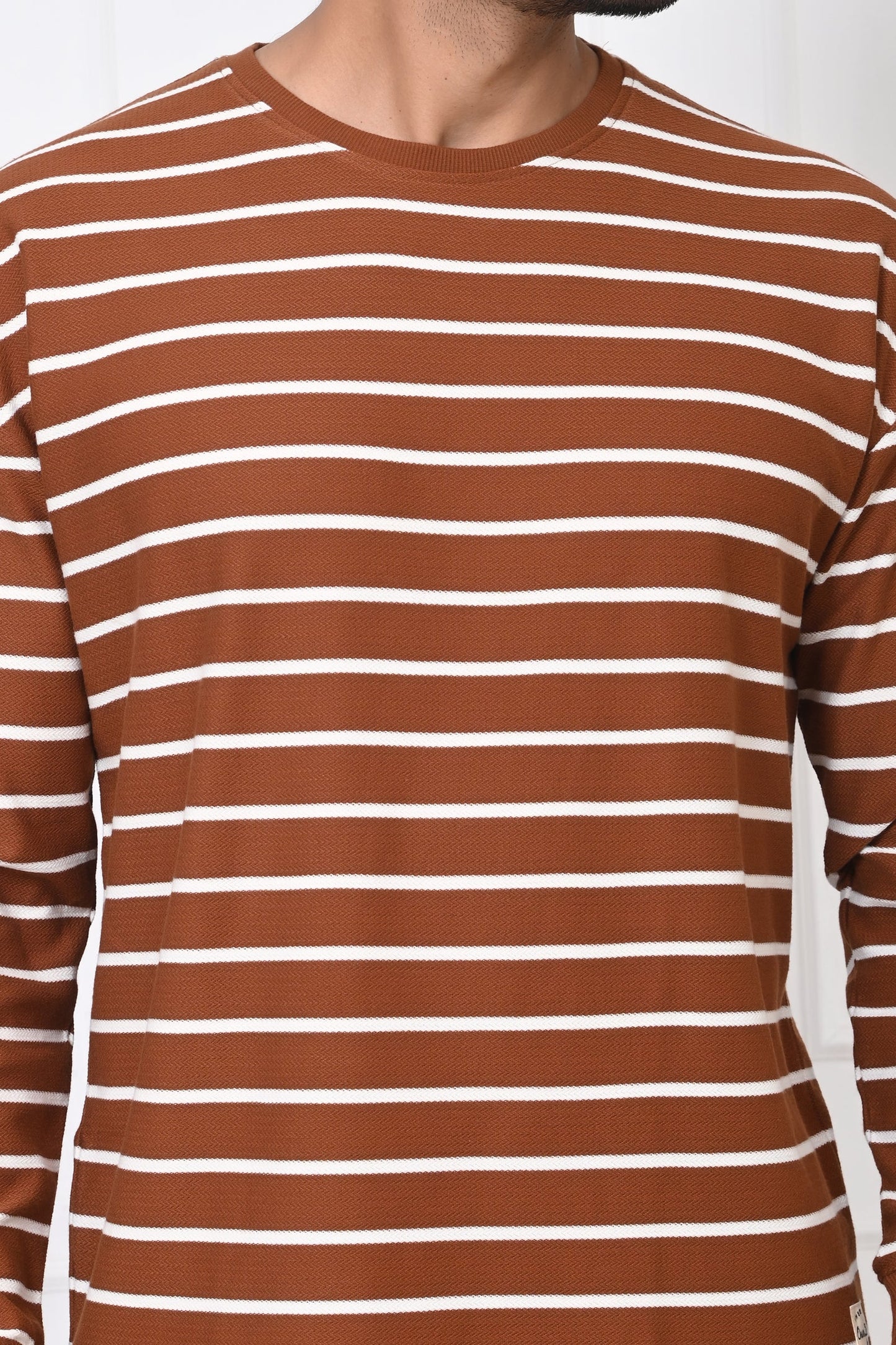 Arbour Men Round Neck Stripes Full Sleeves T-Shirt