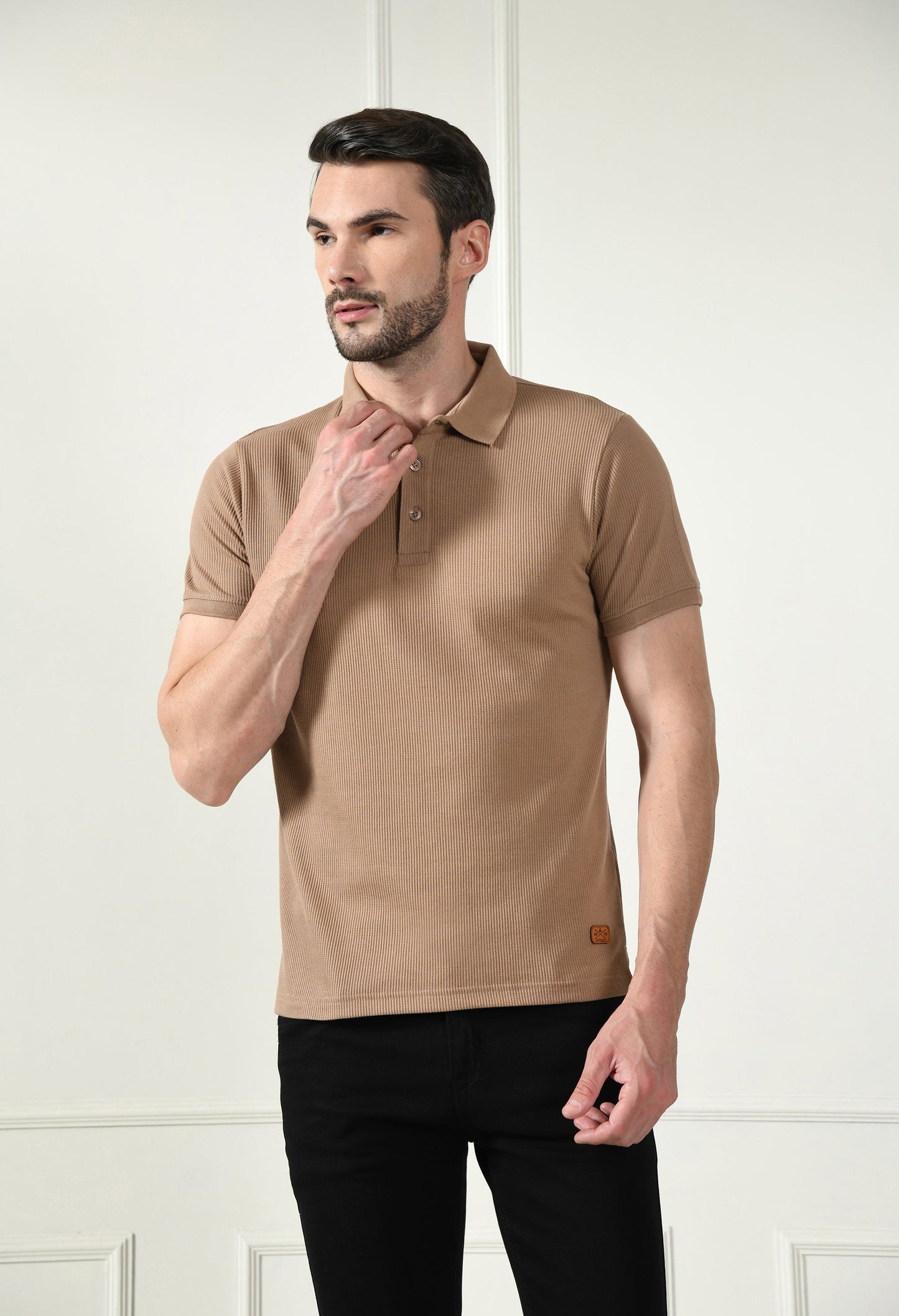 Arbour Men Polo Neck Solid Plain Half Sleeves T-Shirt