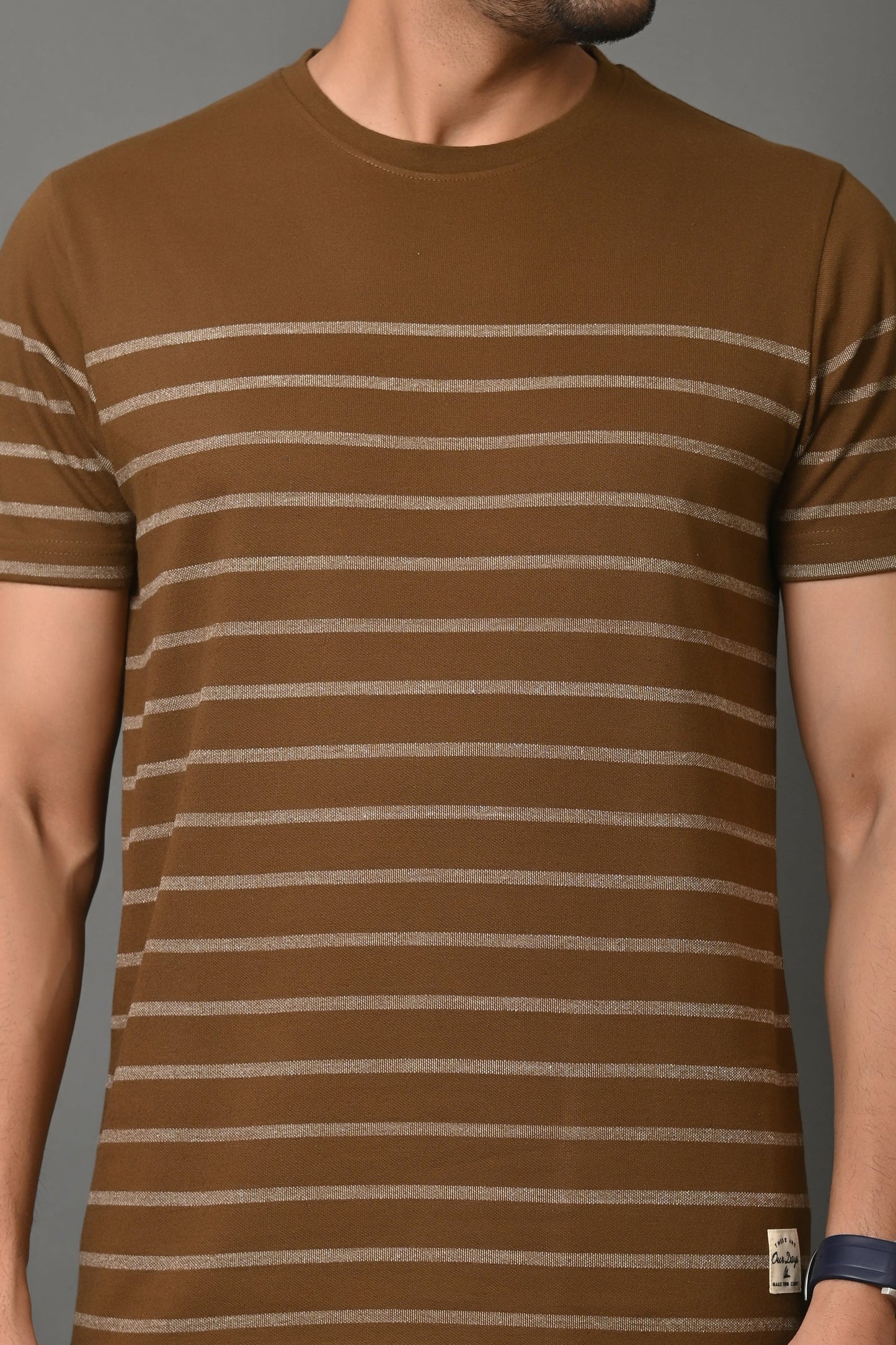 Arbour Men Round Neck Stripes Slim Fit Half Sleeves T-Shirt