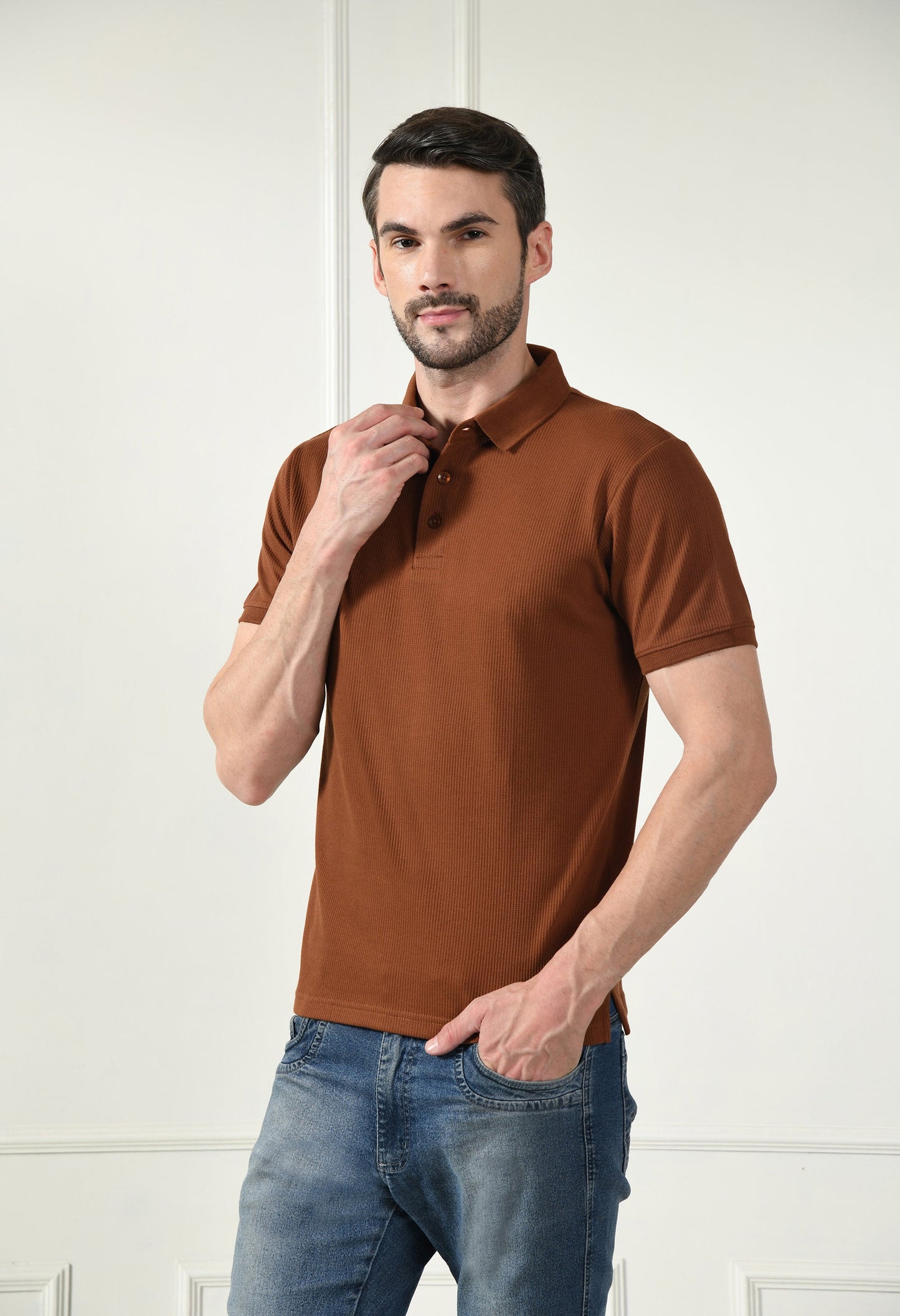 Arbour Men Polo Neck Solid Plain Half Sleeves T-Shirt