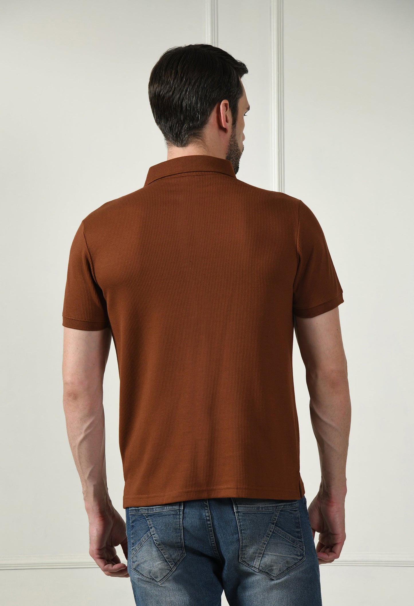 Arbour Men Polo Neck Solid Plain Half Sleeves T-Shirt