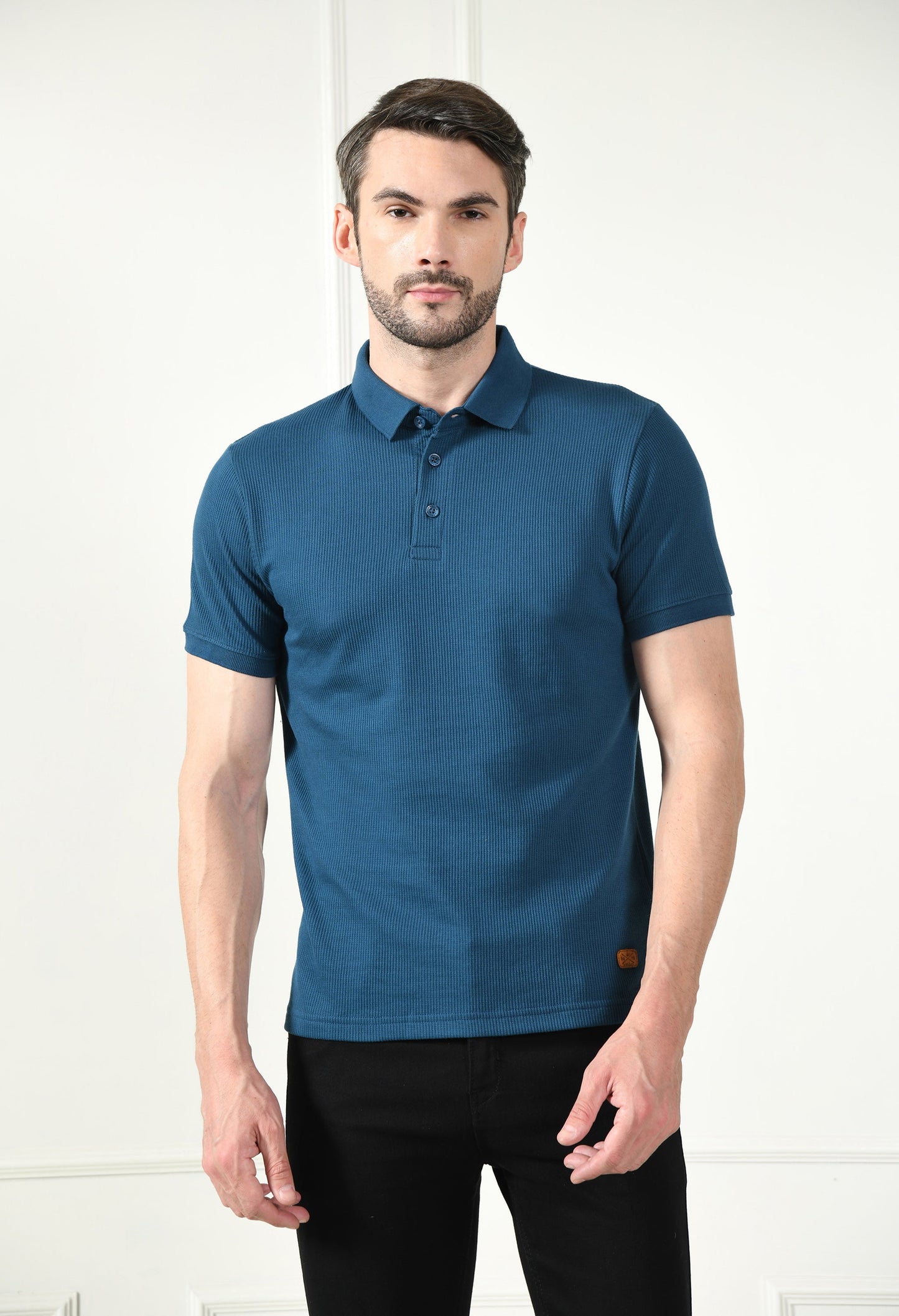 Arbour Men Polo Neck Solid Plain Half Sleeves T-Shirt