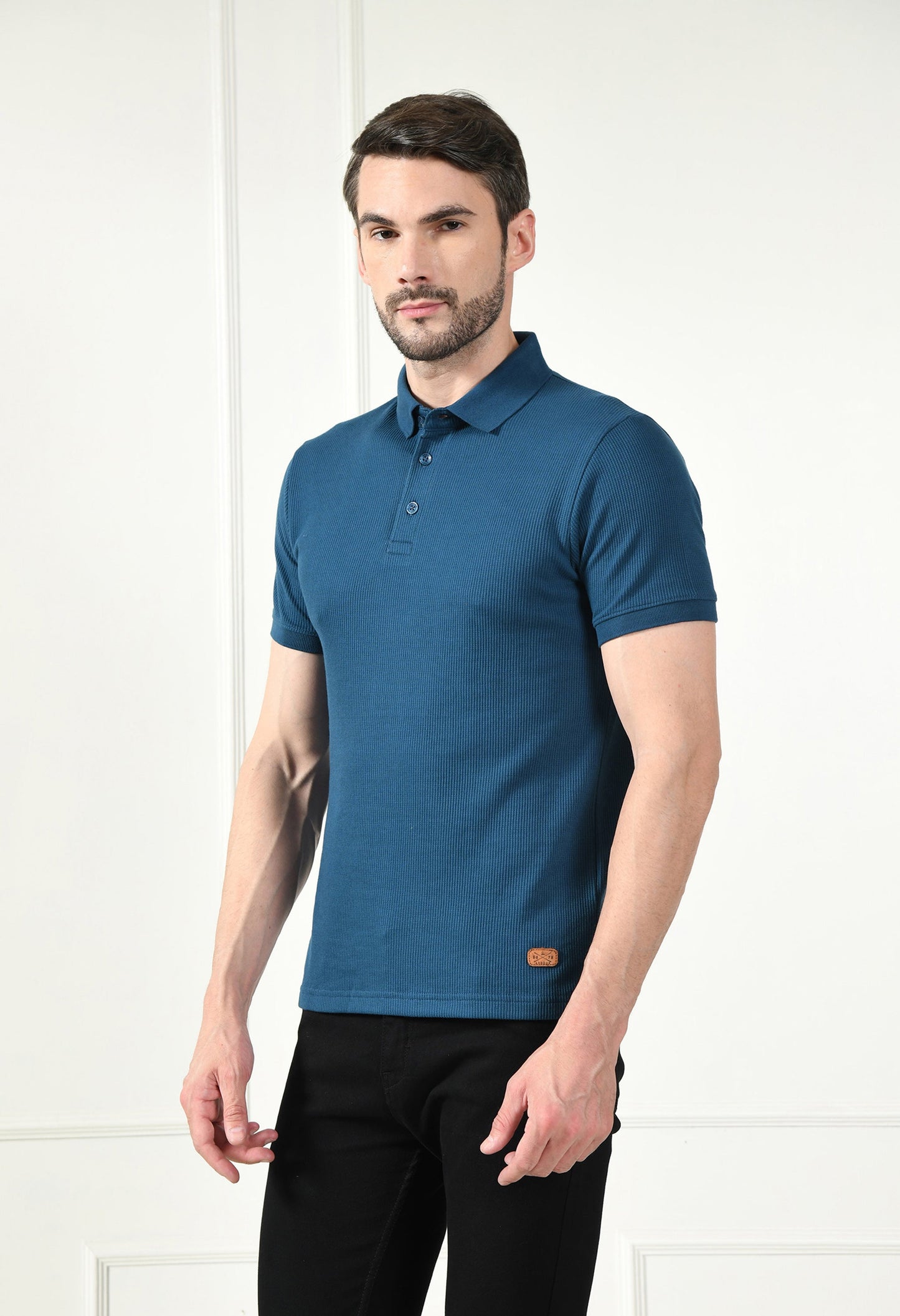 Arbour Men Polo Neck Solid Plain Half Sleeves T-Shirt