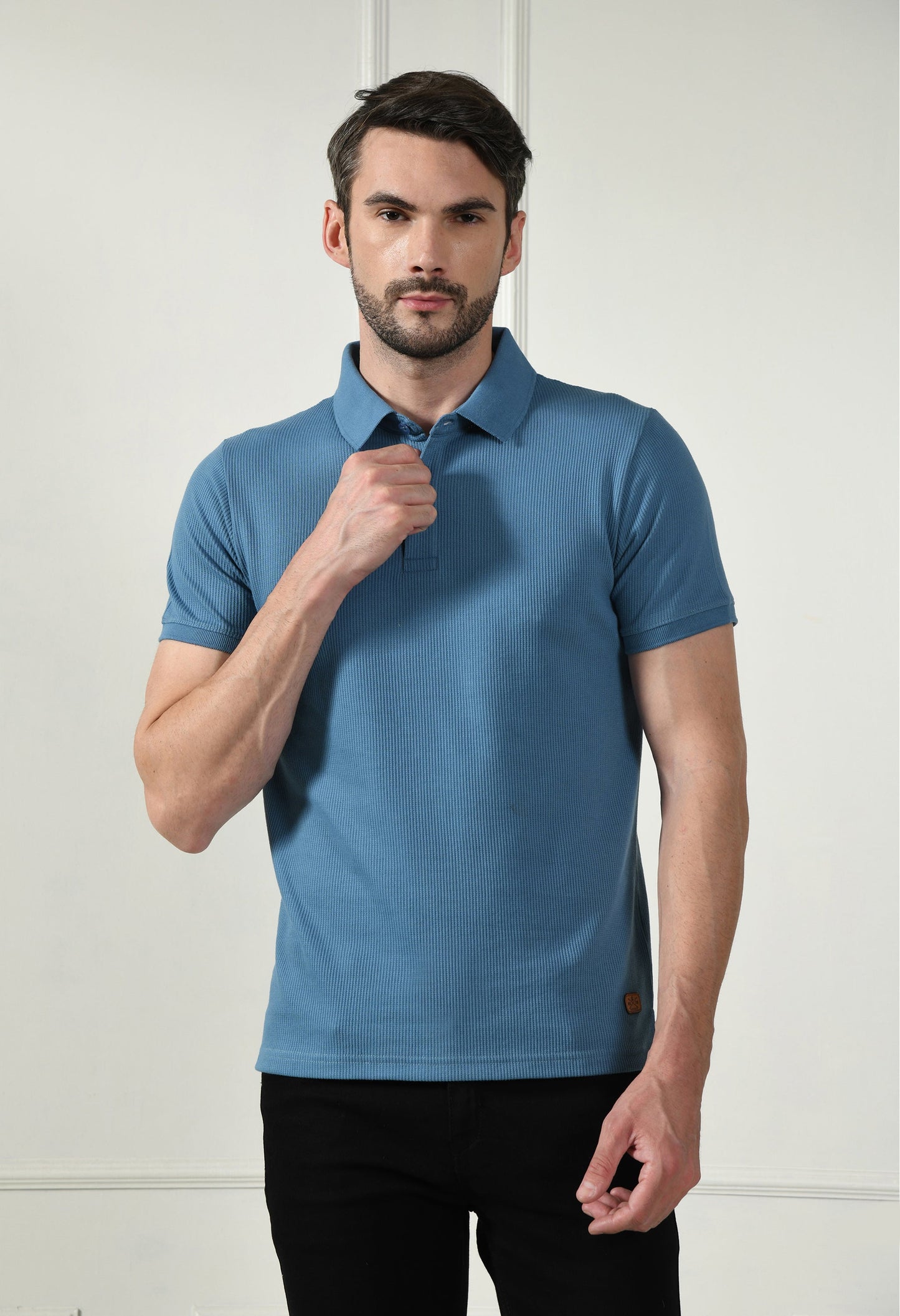 Arbour Men Polo Neck Solid Plain Half Sleeves T-Shirt