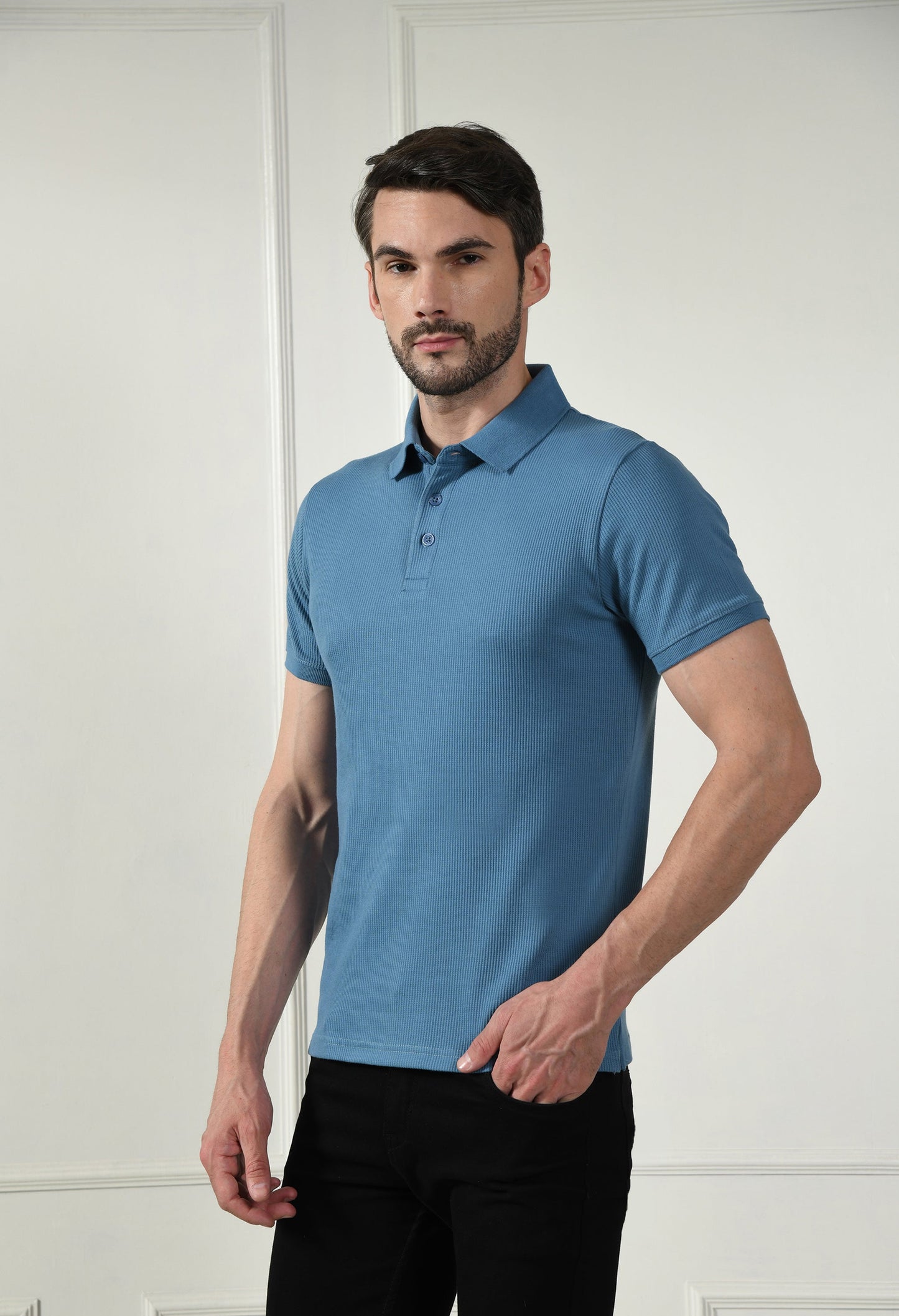 Arbour Men Polo Neck Solid Plain Half Sleeves T-Shirt