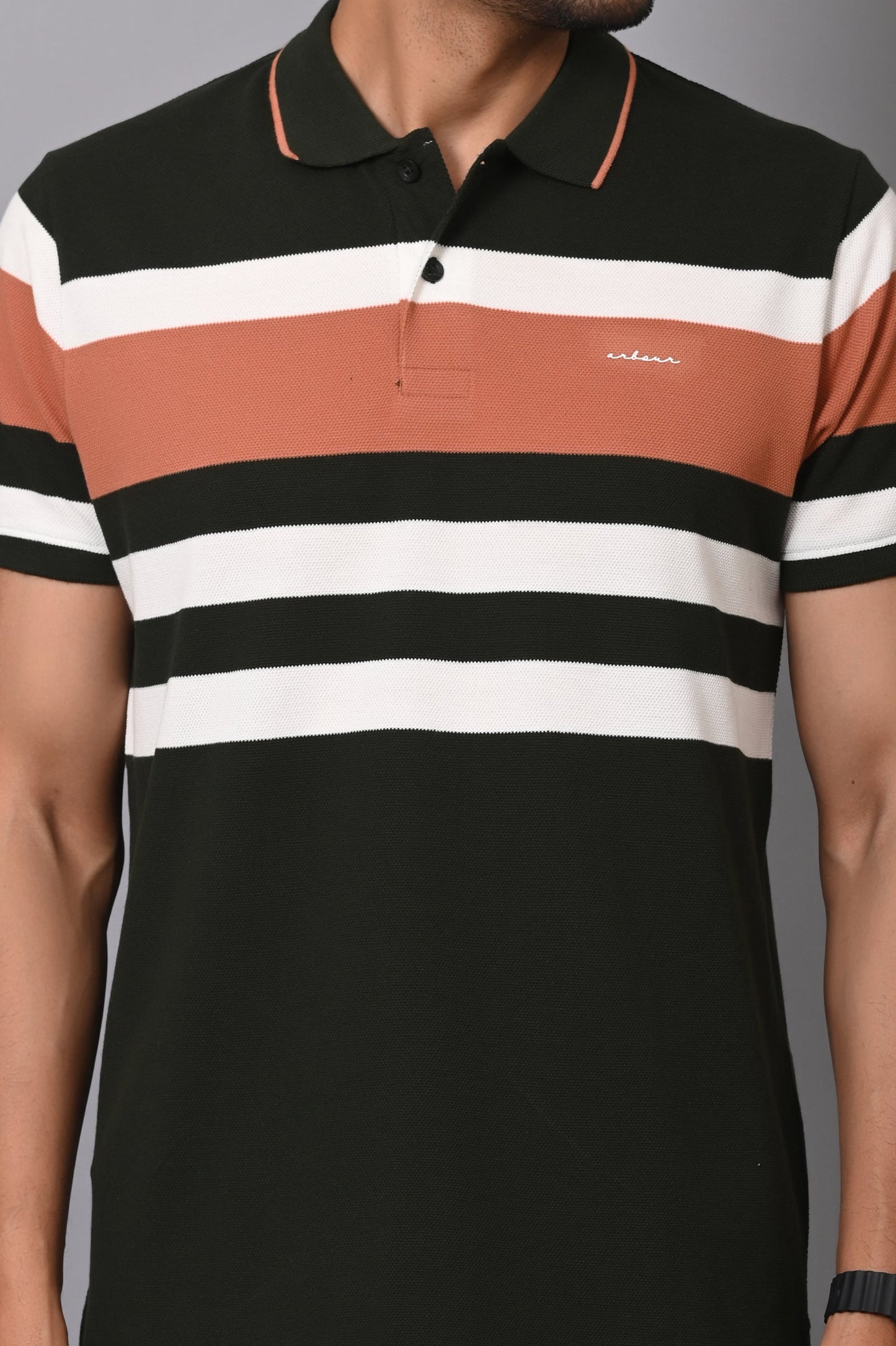 Arbour Men Polo Neck Stripes Casual Half Sleeves T-Shirt