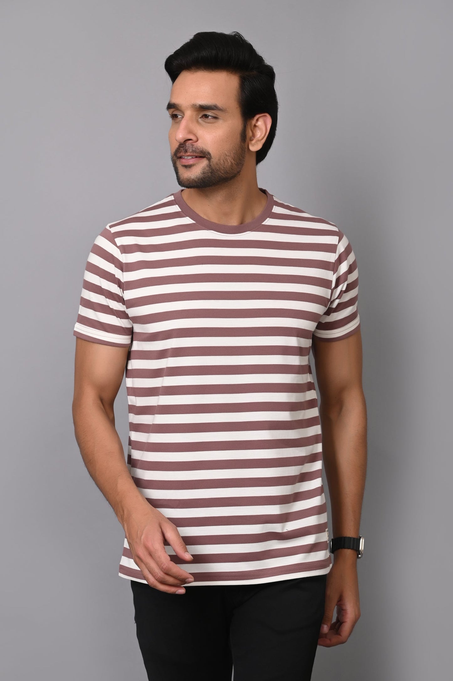 Arbour Men Round Neck Stripes Half Sleeves T-Shirt