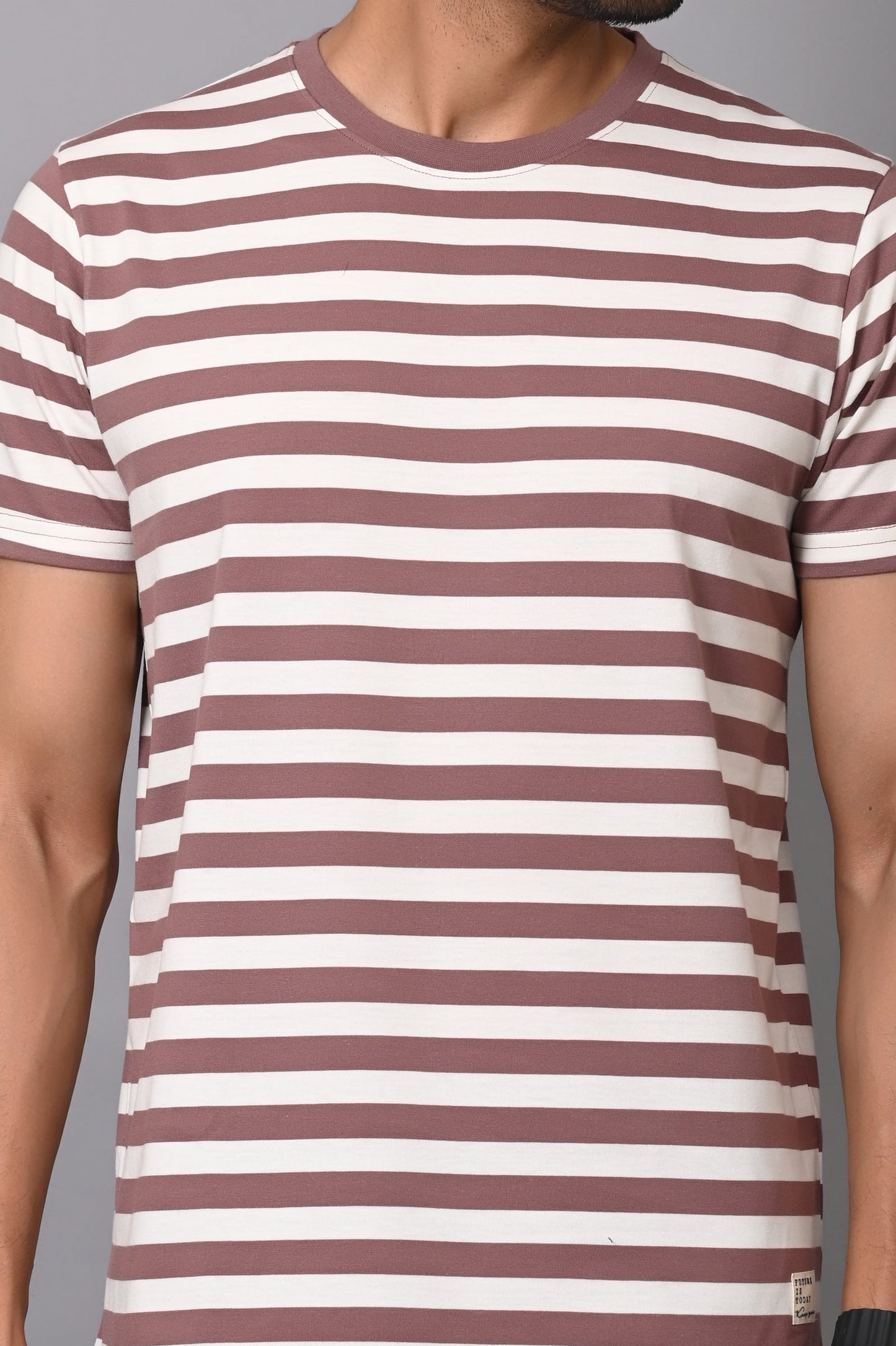 Arbour Men Round Neck Stripes Half Sleeves T-Shirt