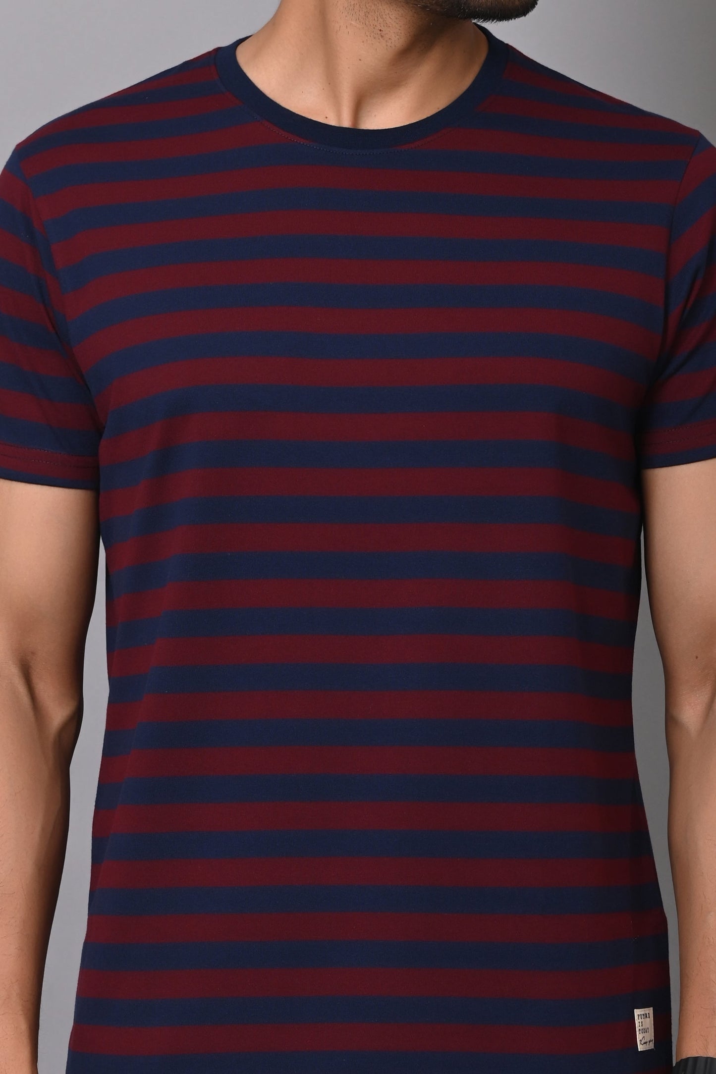 Arbour Men Round Neck Stripes Half Sleeves T-Shirt